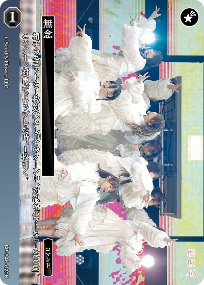 無念 【BB-S46-029N】